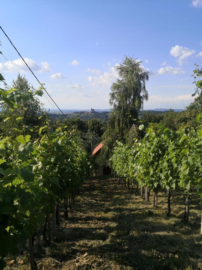Vikendica Sirec Villa Ptujska Gora Dış mekan fotoğraf